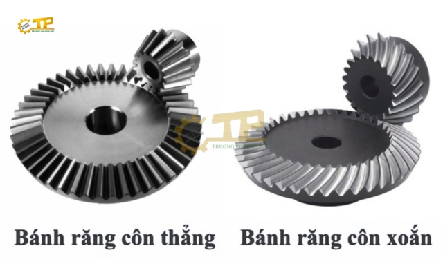 Bánh răng côn có 2 loại: bánh răng côn thẳng và bánh răng côn răng xoắn