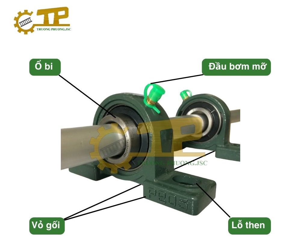 Cấu tạo gối bi
