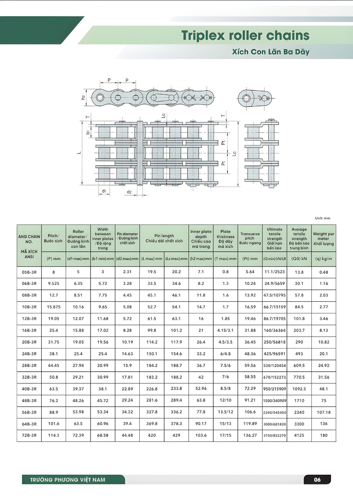 Thông số kĩ thuật xích con lăn 3 dãy tiêu chuẩn ISO