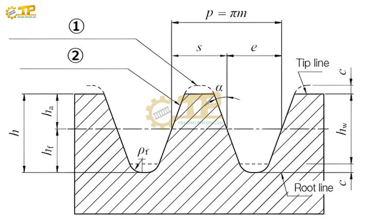 Thông số kỹ thuật của thanh răng thẳng M3