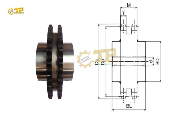 Hỗ trợ kỹ thuật chuyên sâu giúp lựa chọn đúng thông số nhông xích và đảm bảo vận hành ổn định