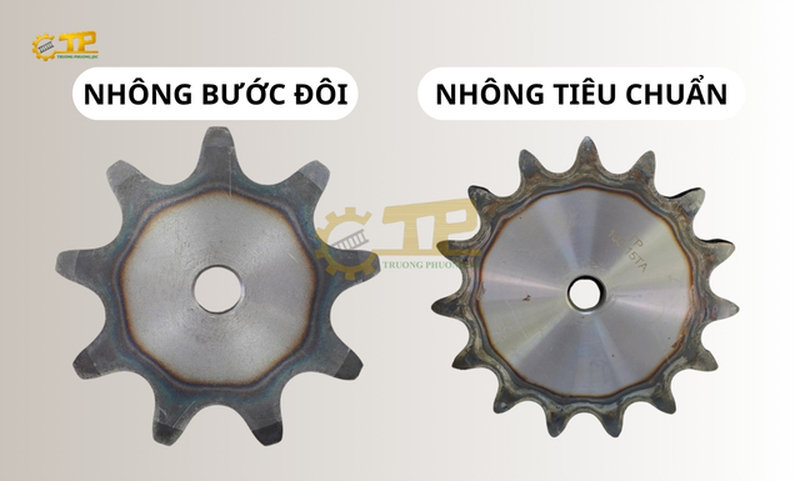 So sánh nhông xích băng tải và nhông xích tiêu chuẩn