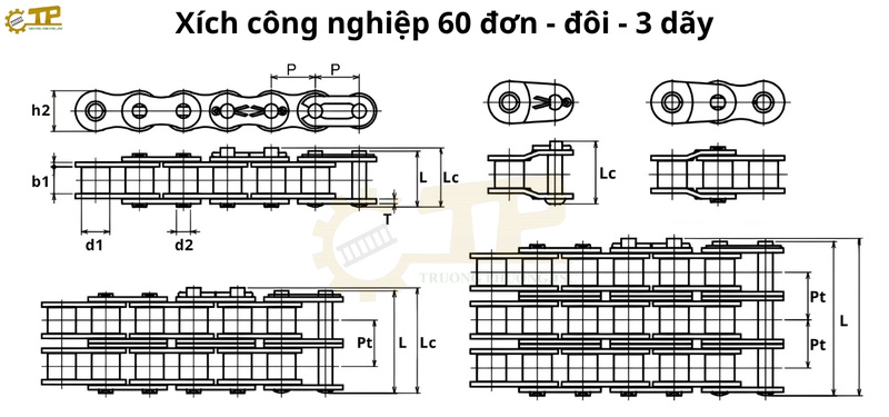 Thông số hình học xích 60-1R,2R,3R